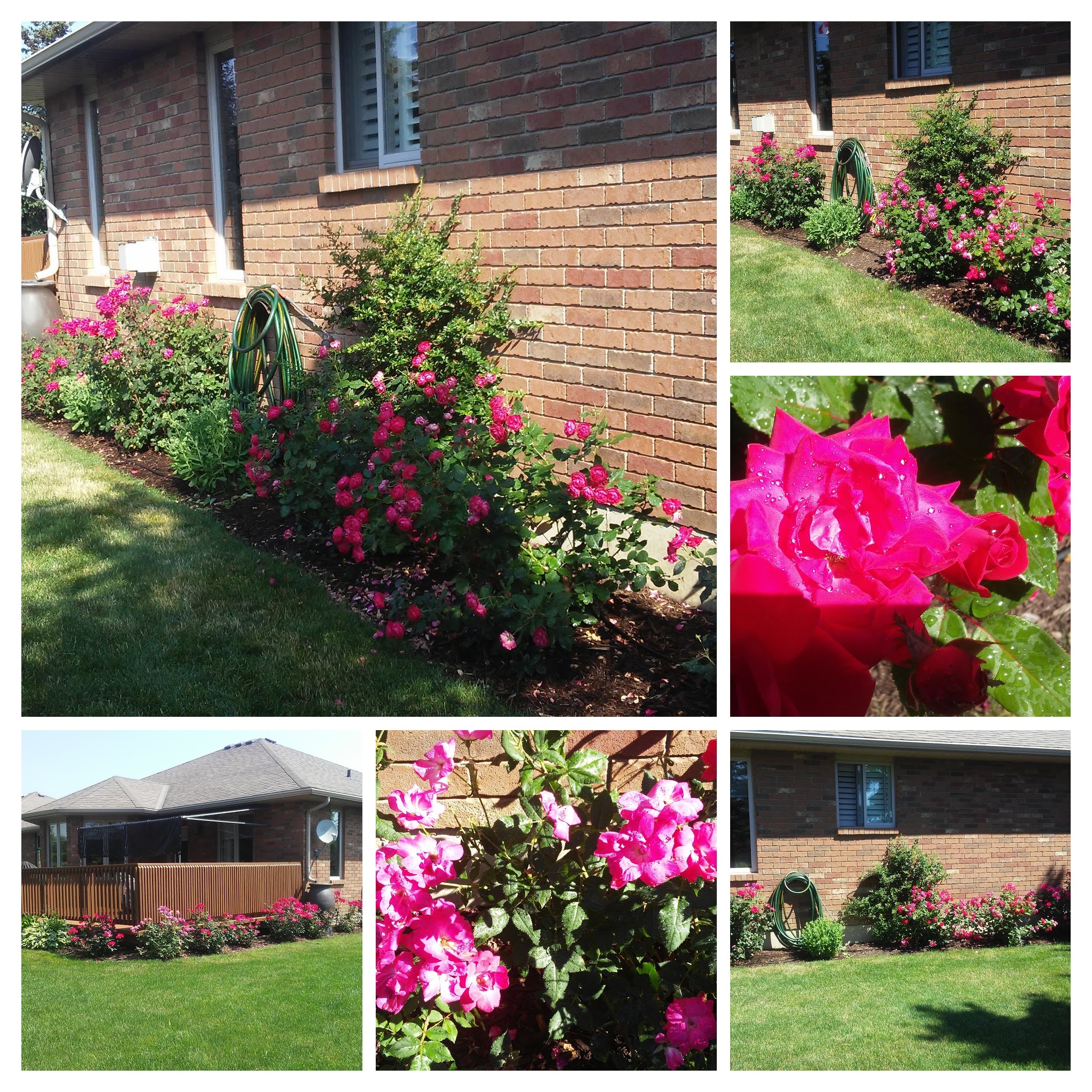 Flower bed care results in healthy, lush foliage and flowers