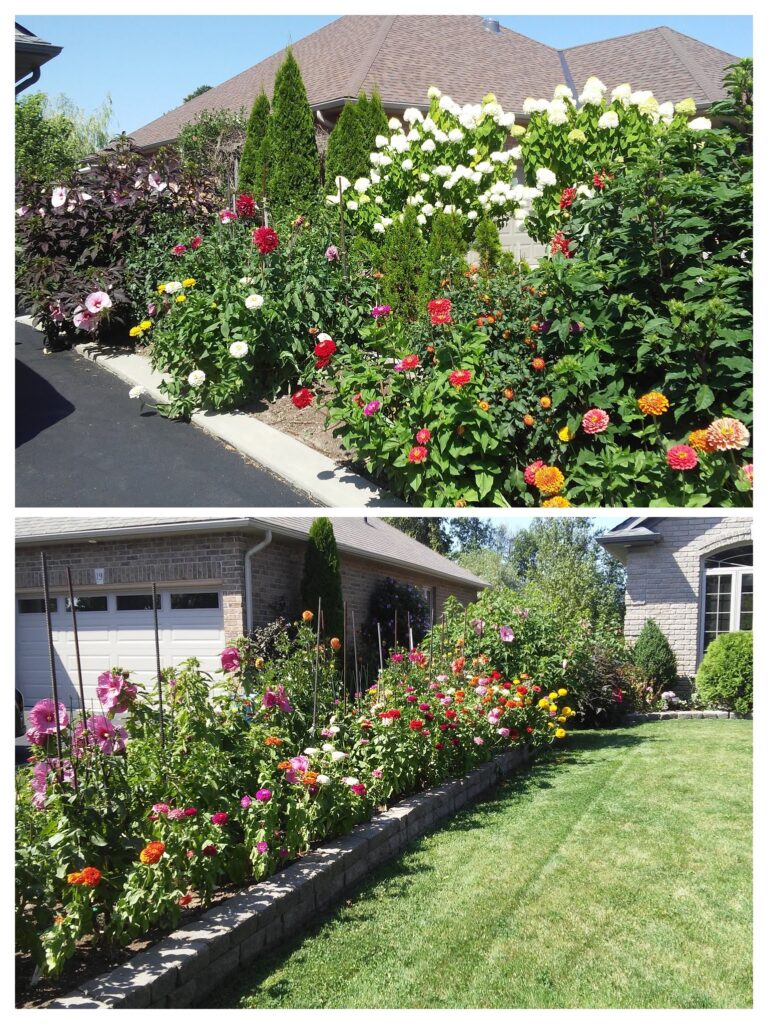 Curb Side Appeal - Lawn Care Services